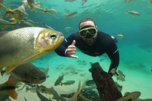 Aroldo Fernandes da Luz