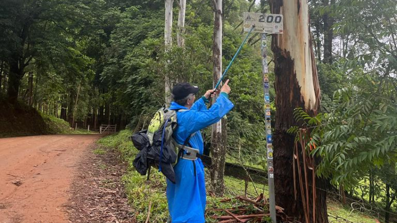 Eloizio Gomes Afonso Duraes