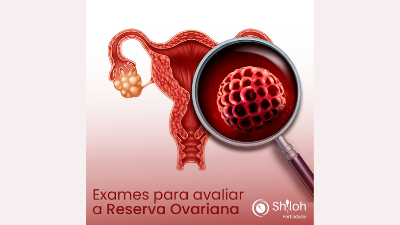 Descubra com Oluwatosin Tolulope Ajidahun a relação entre a vitamina K e a capacidade de conceber de forma saudável.