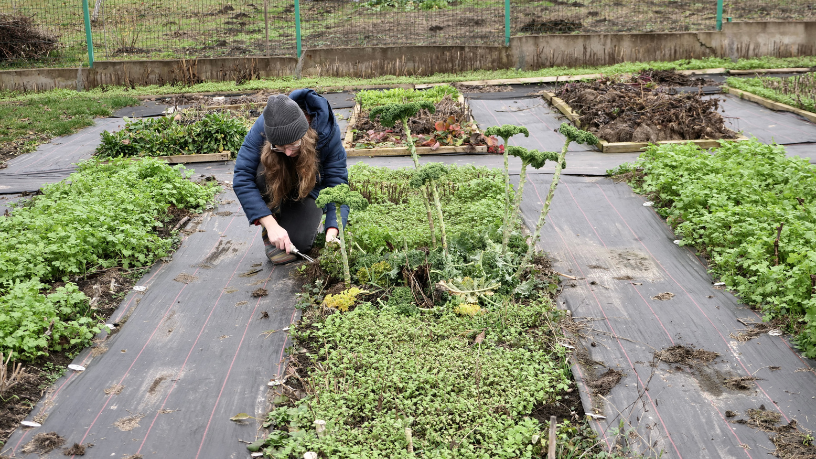 For Leonardo Rocha de Almeida Abreu, the positive impact of ecotourism strengthens communities, culture, and sustainable travel.