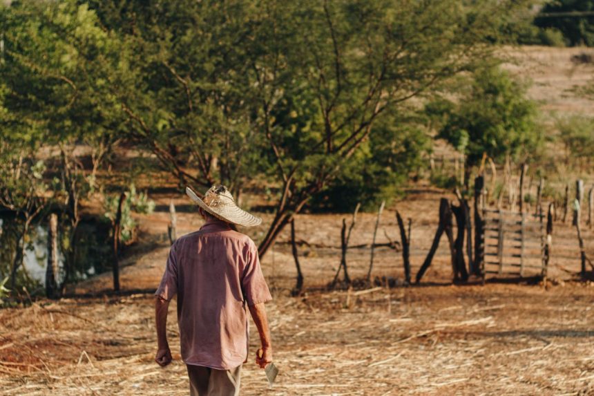 Agricultor caminha por um campo seco em área rural do Brasil.