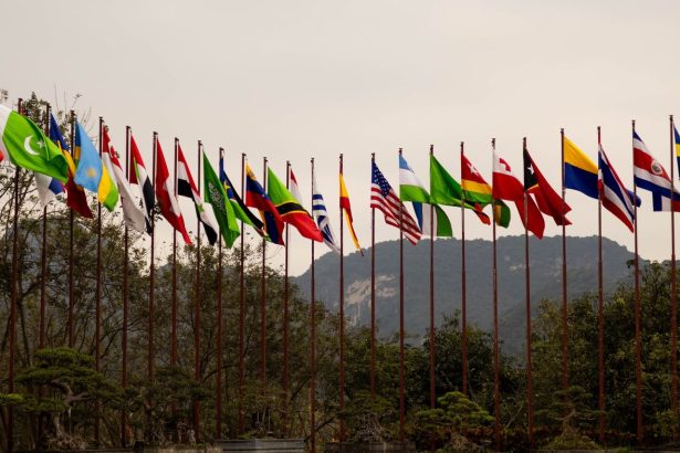 Diversas bandeiras nacionais hasteadas diante de uma paisagem montanhosa, em referência às relações internacionais.